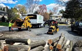 Best Tree Health Inspection  in Norwood, NY
