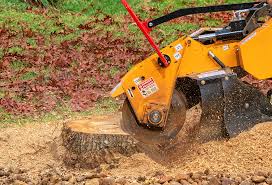 Professional Tree Services in Norwood, NY