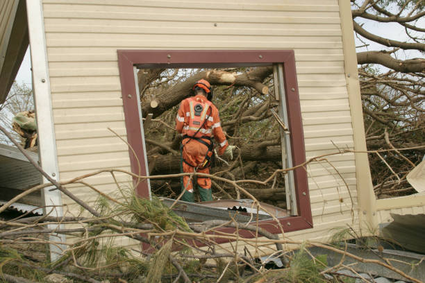 Best Root Management and Removal  in Norwood, NY